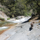 Illustration for article titled A hike with Toby and Mrs. IM at Willow Creek. (Angel Falls)
